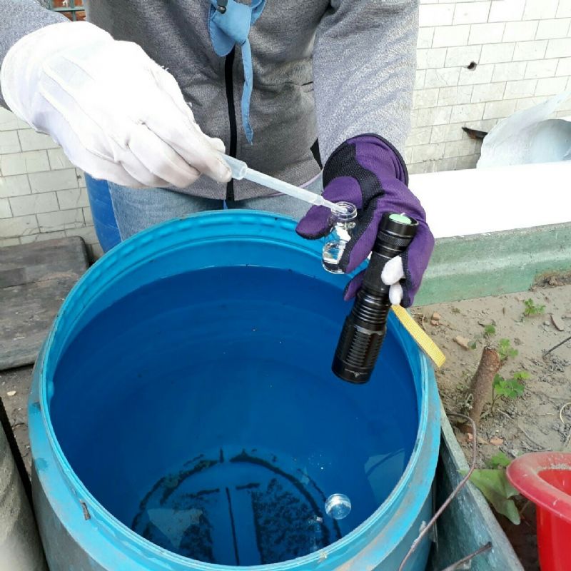 經常性使用水桶未刷洗內壁且未加置細紗